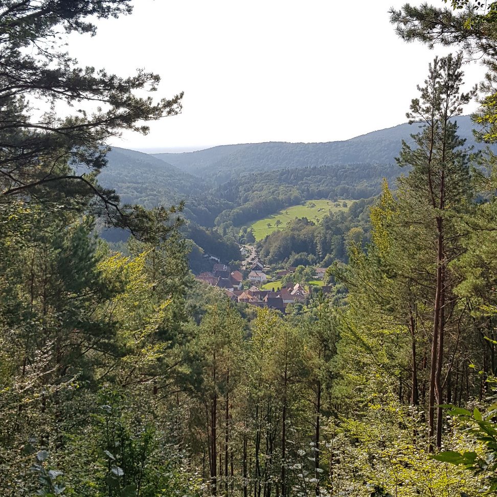 Blick auf Blankenborn